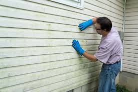 Best Aluminum Siding Installation  in Nebo, NC